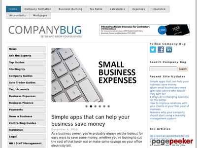 Company Bug — Small Business Advice